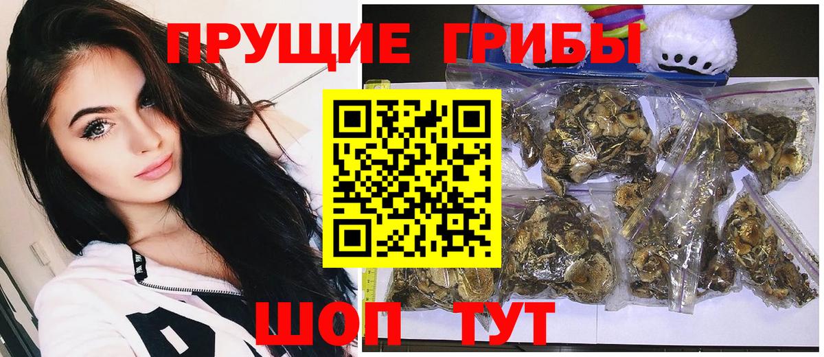 Галлюциногенные грибы MAGIC MUSHROOMS  Вход с VPN  Чапаевск 